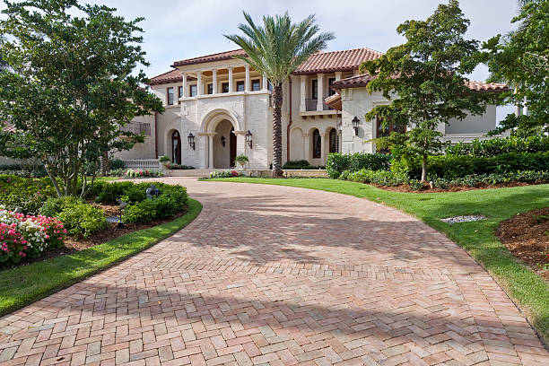 Best Driveway Pavers Contractor  in Cameron, TX