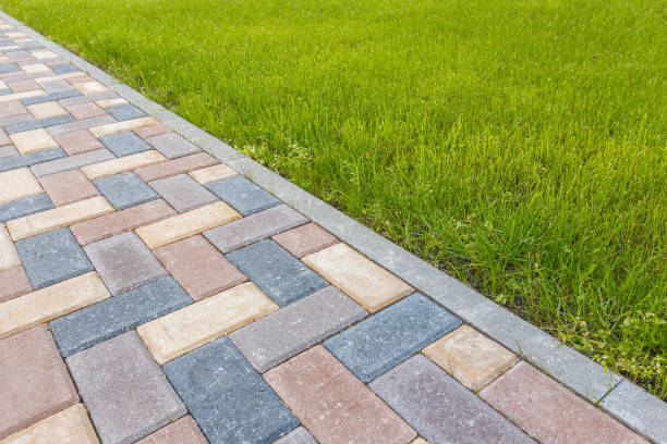 Best Local Driveway Pavers  in Cameron, TX